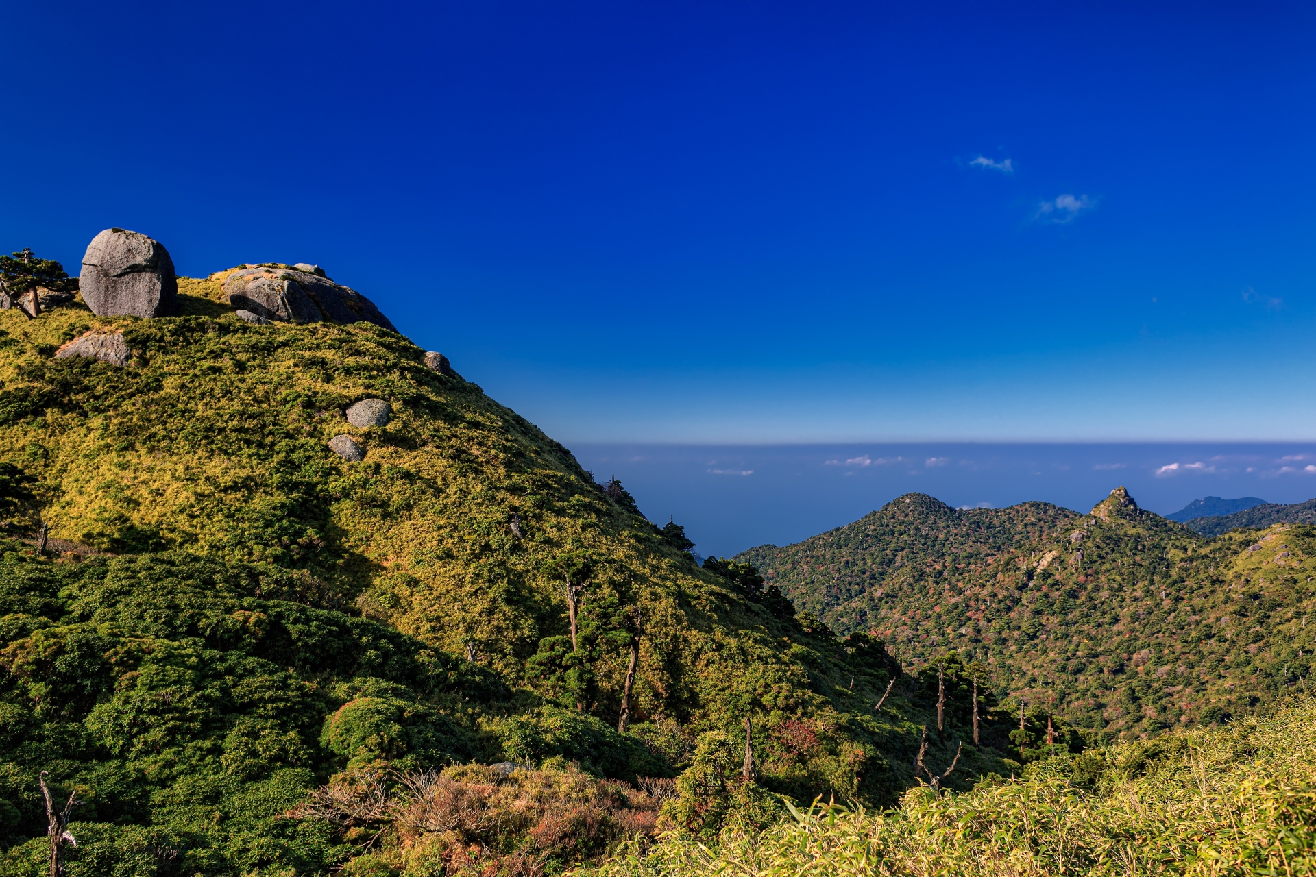 鹿児島・南西エリア