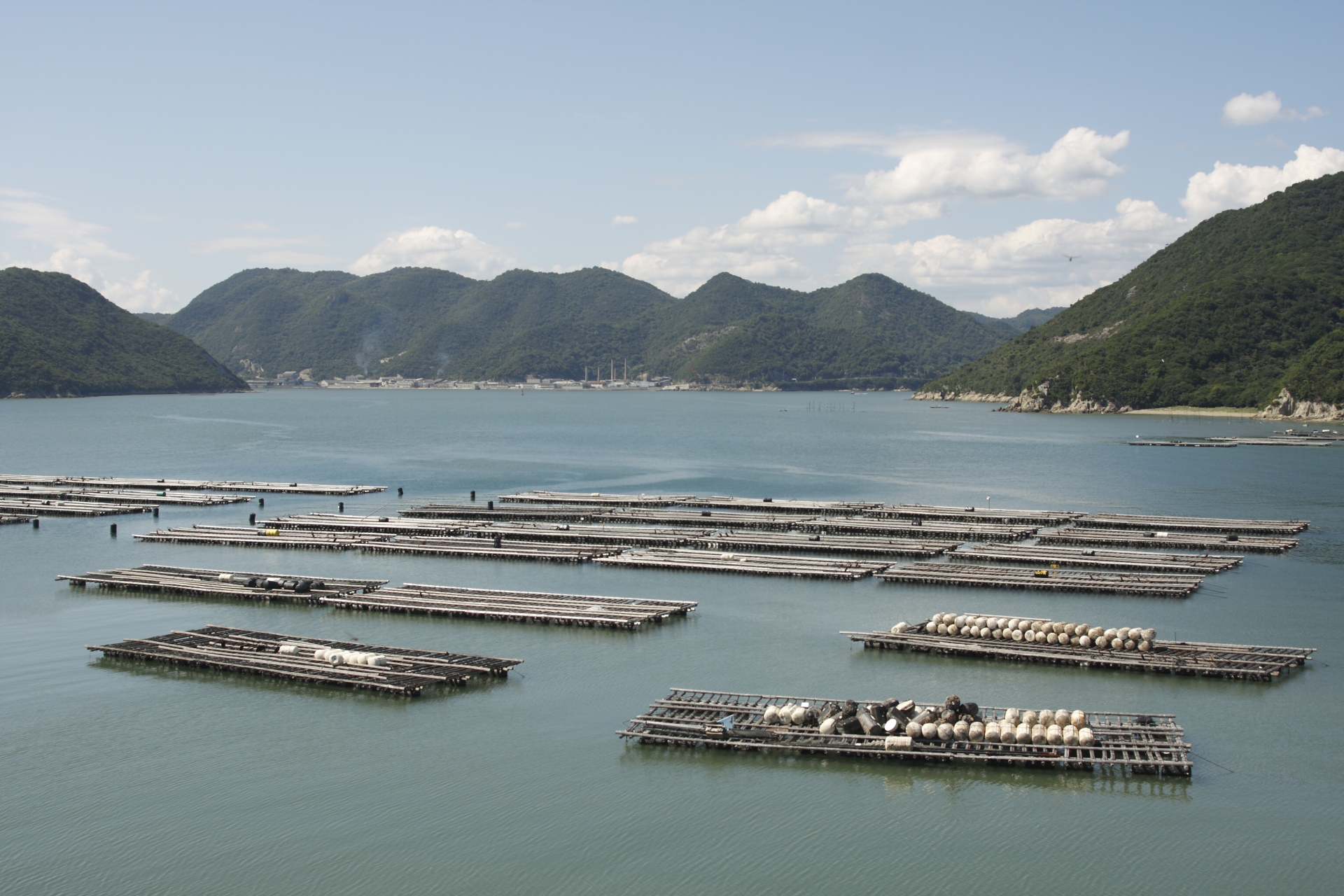 頭島 養殖場