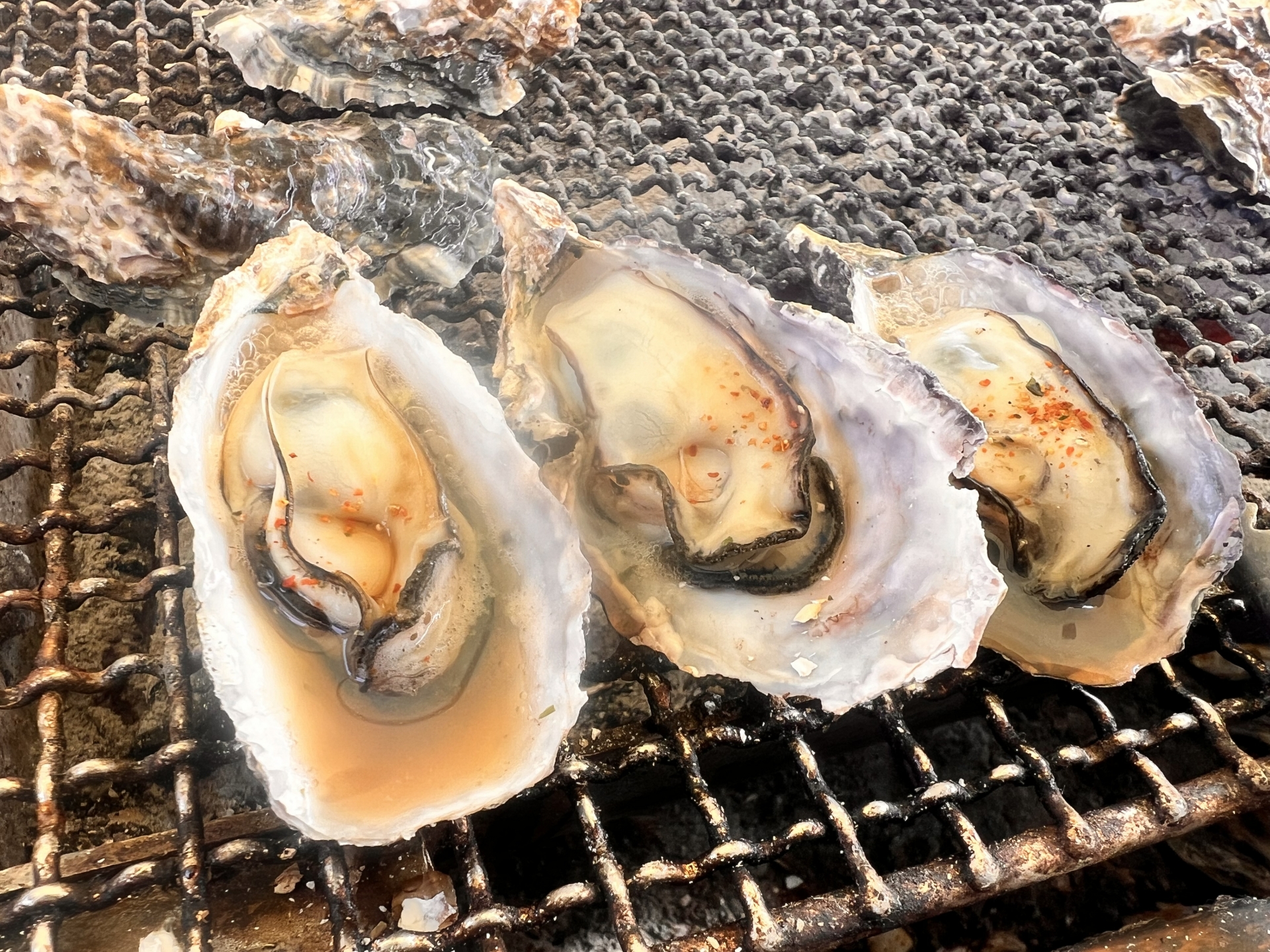 日生の牡蠣