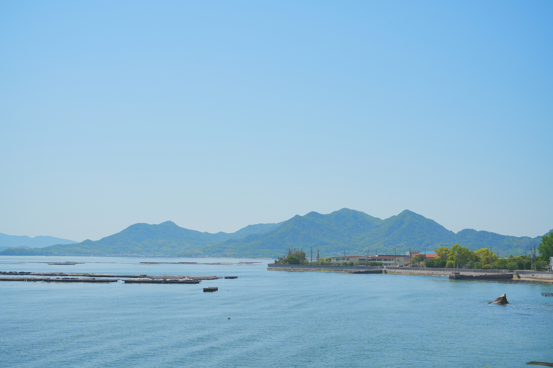 海