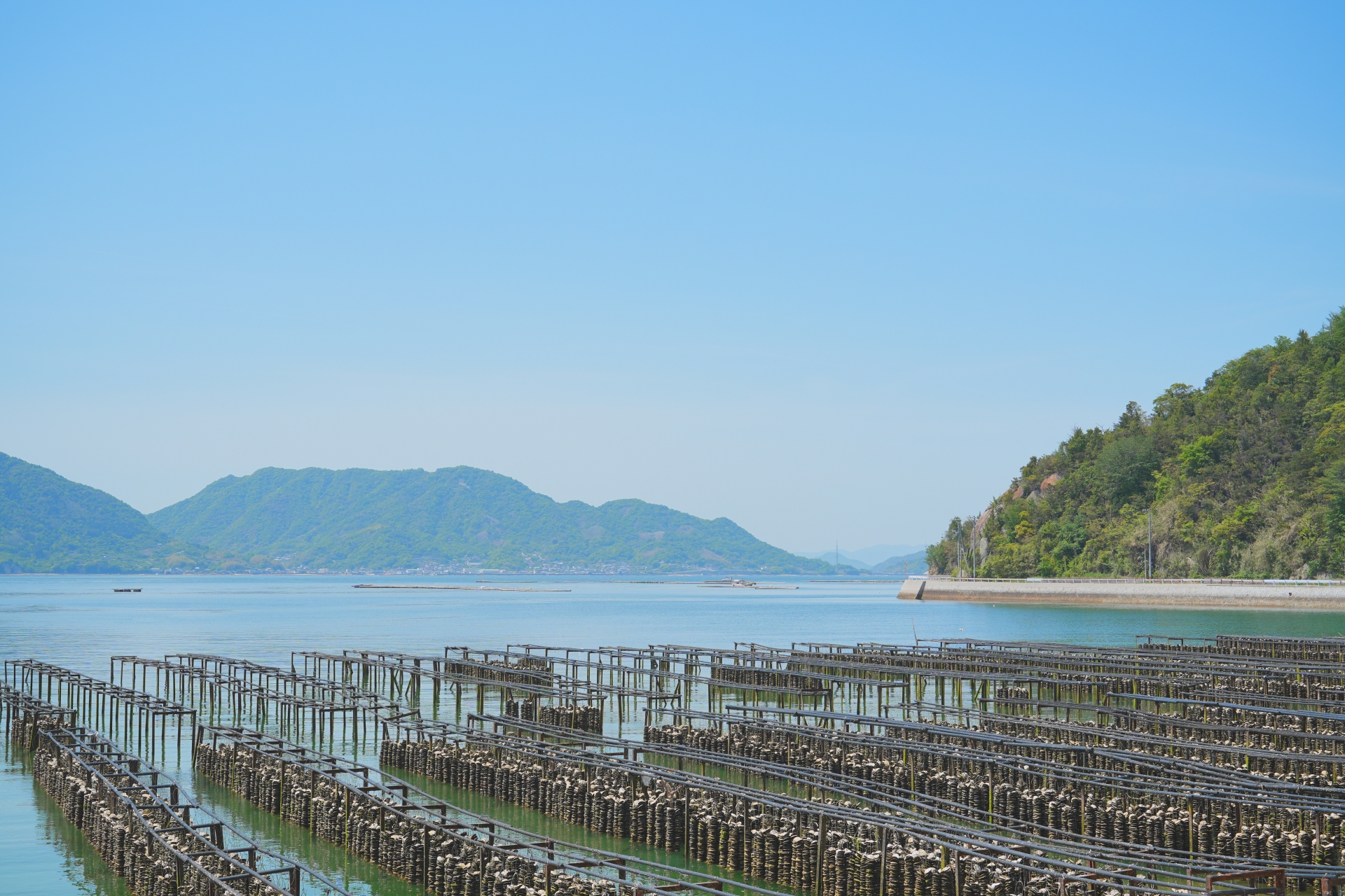 似島