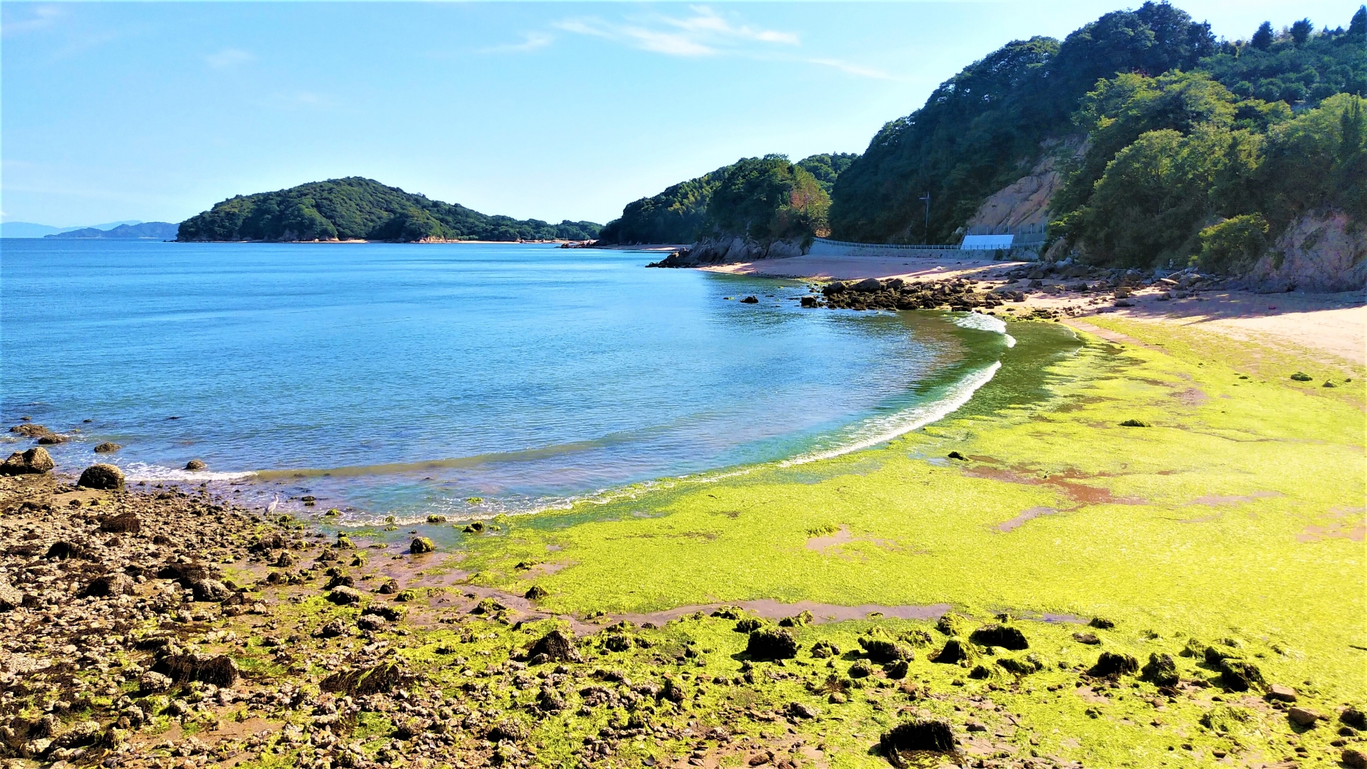 倉橋島　緑の浜辺