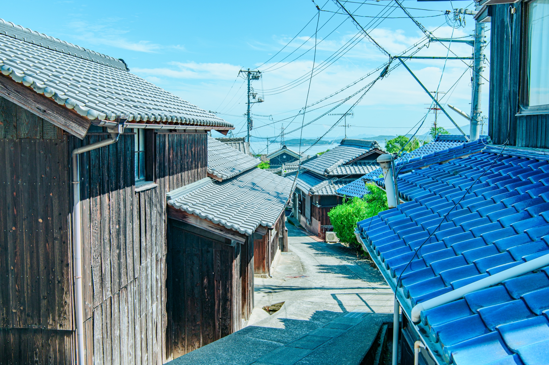 豊島