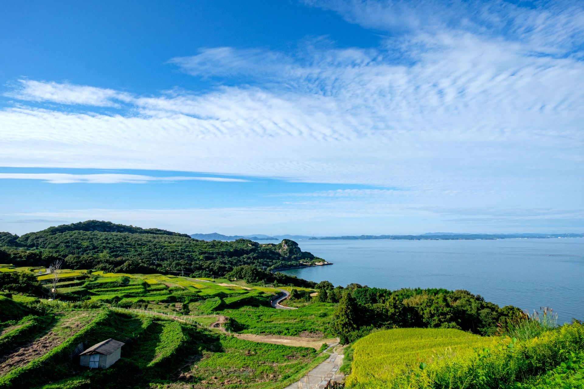 豊島 棚田と海