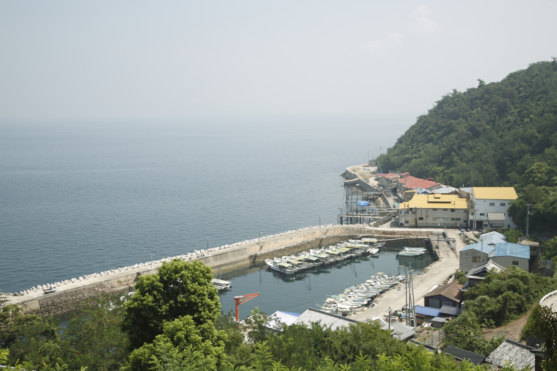伊吹島