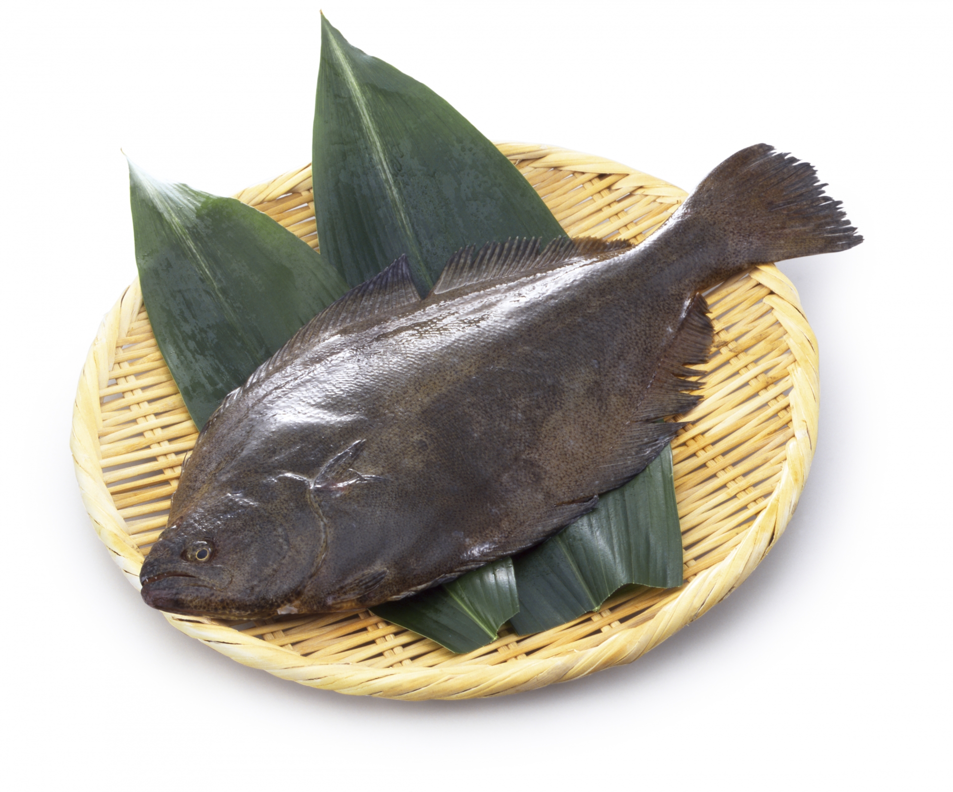 ヒラメ　ざる盛り