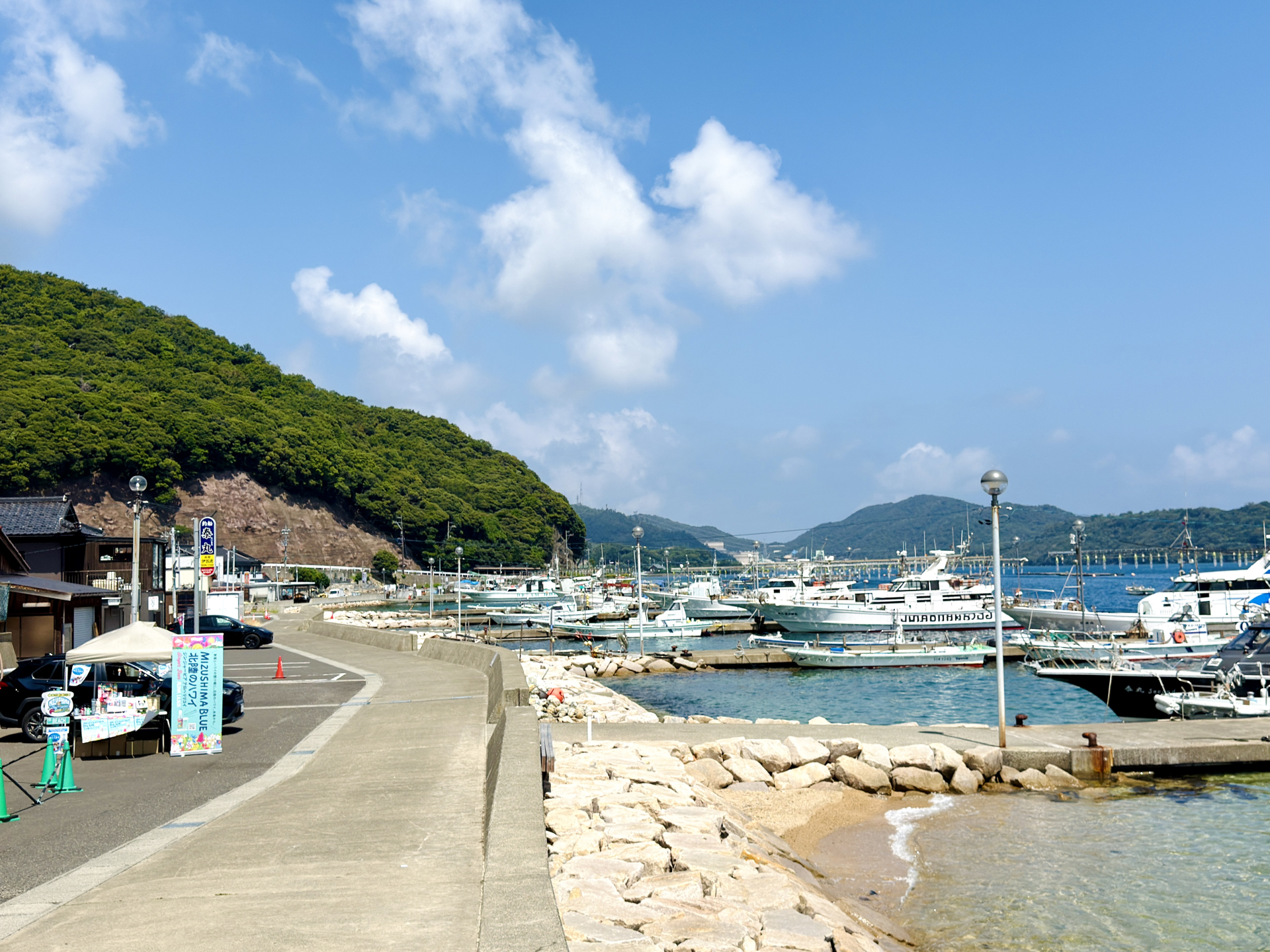 真夏の敦賀湾の水島