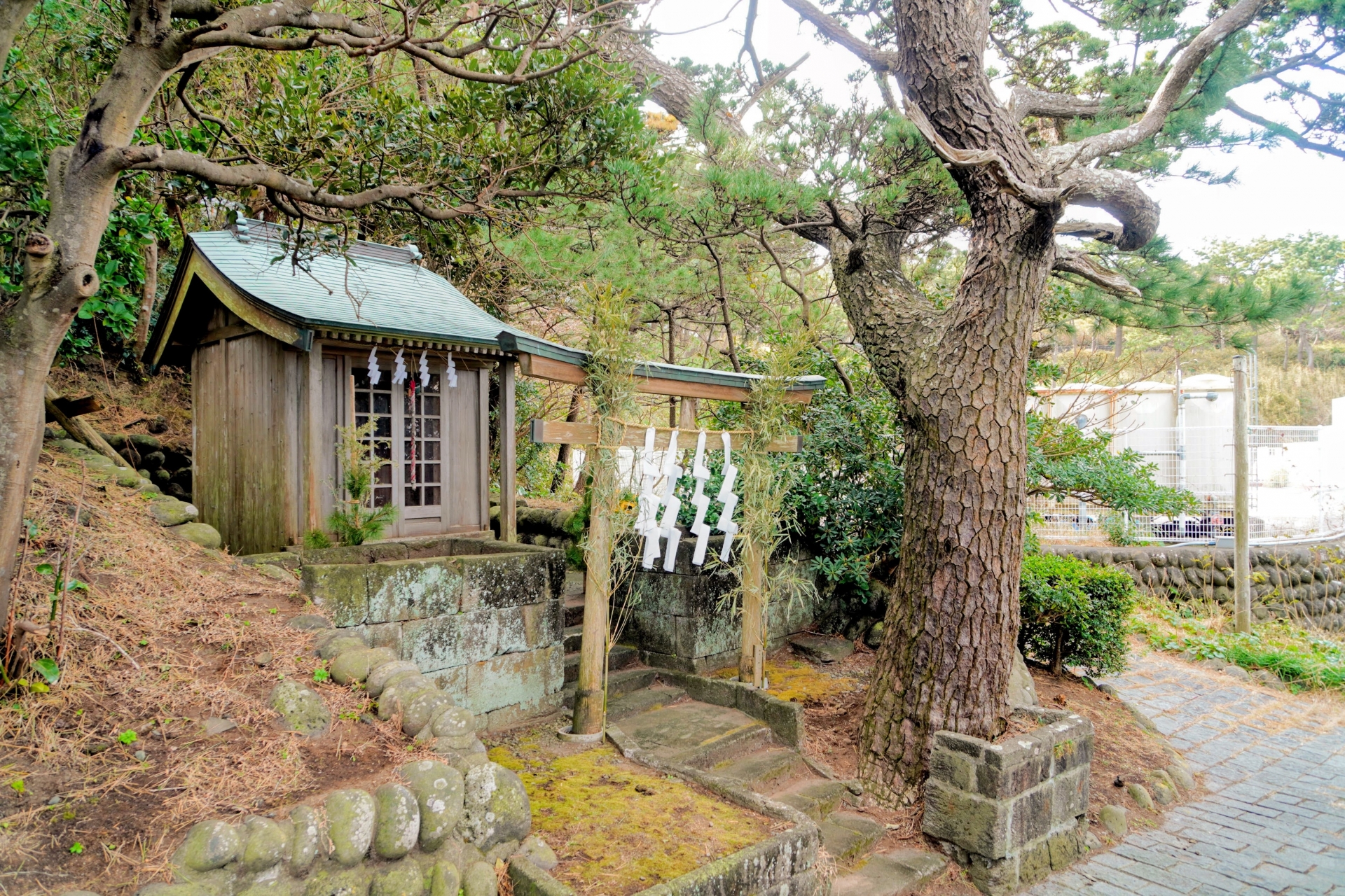 利島の神社