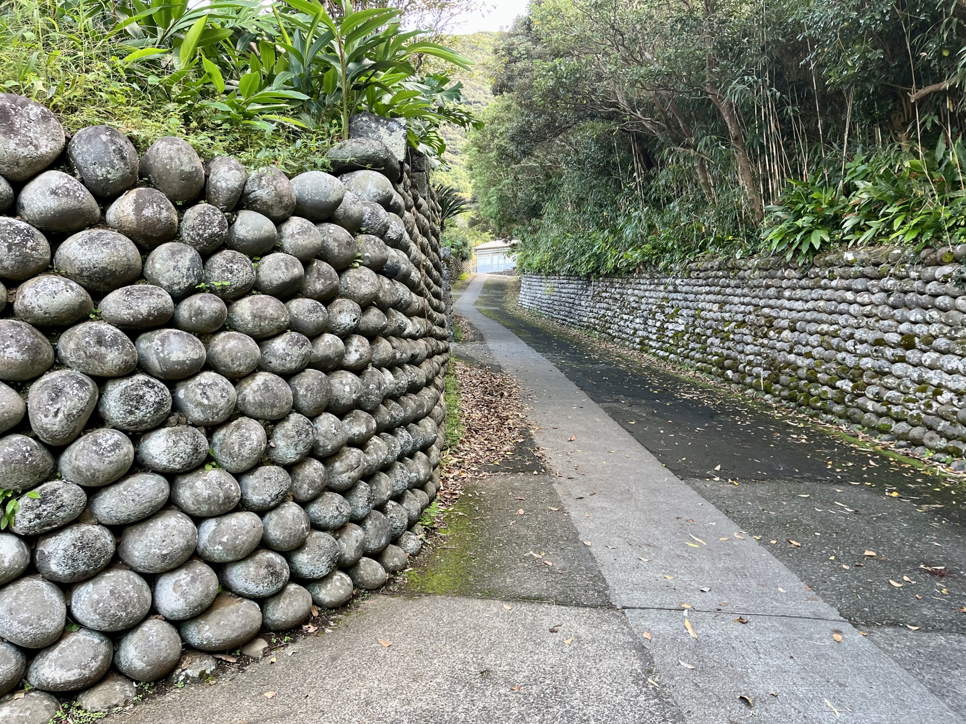 八丈島大里の玉石垣