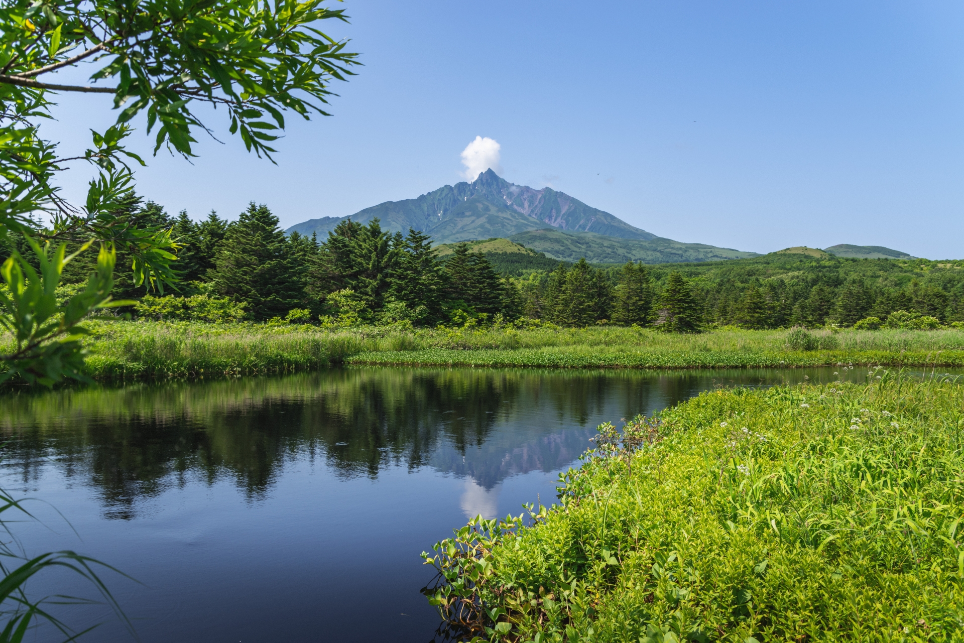利尻島・南浜湿原からの利尻富士
