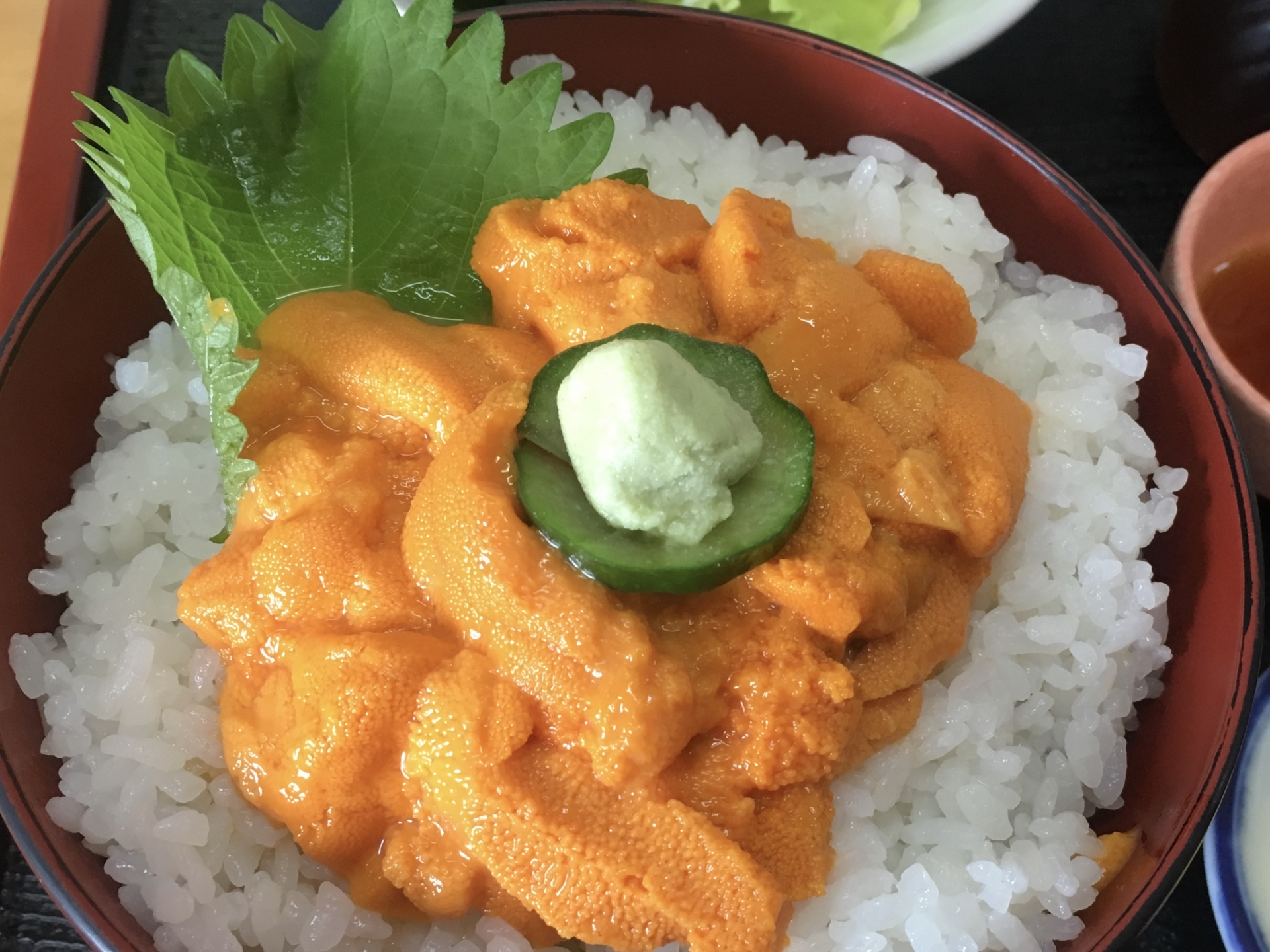 ウニ丼