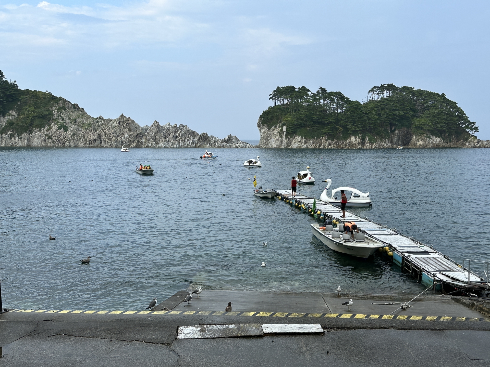 浄土ヶ浜のサッパ遊覧船のりば