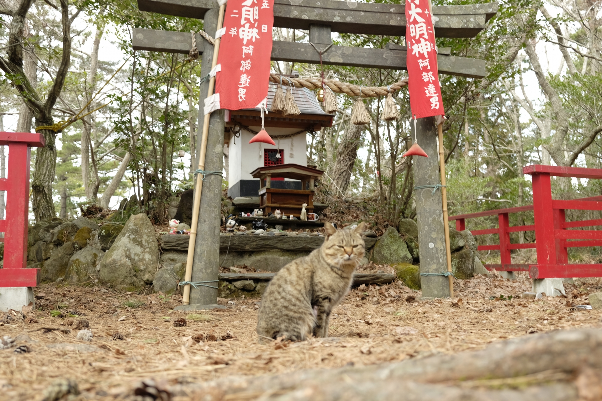 猫神社