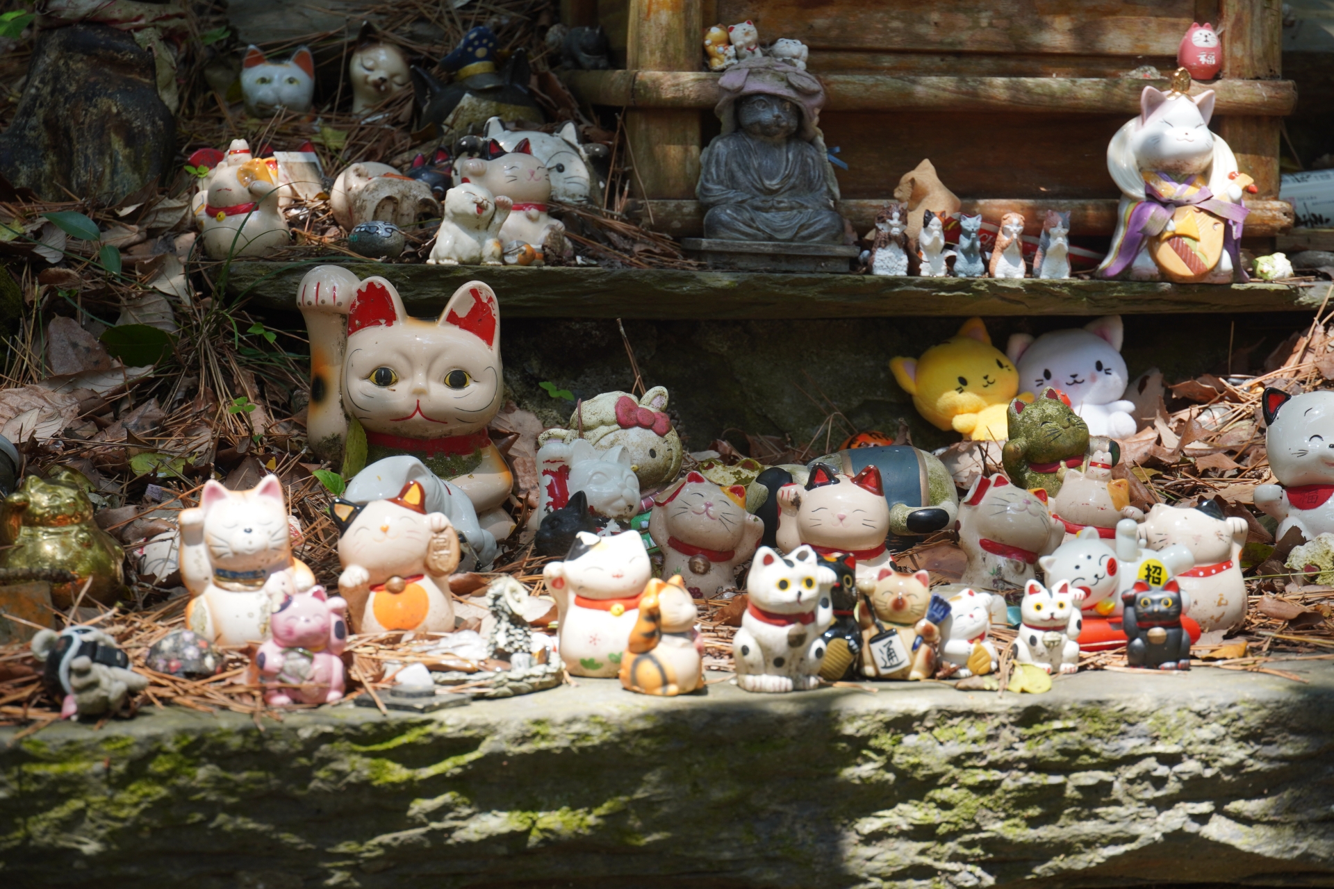 猫神社