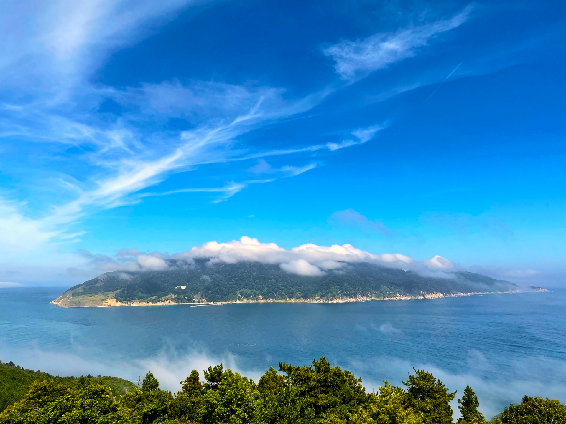 金華山