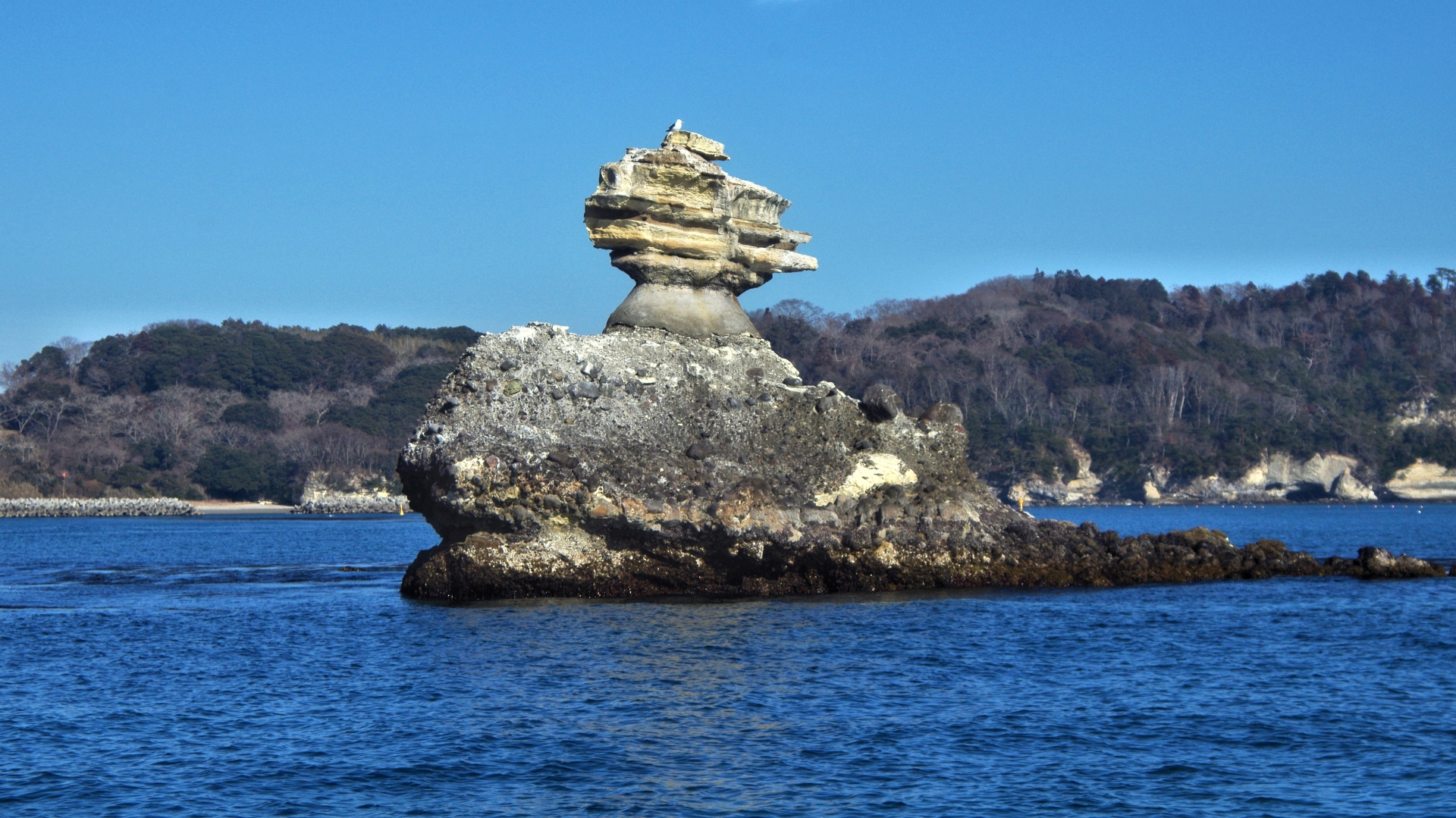 仁王島の上の鳥