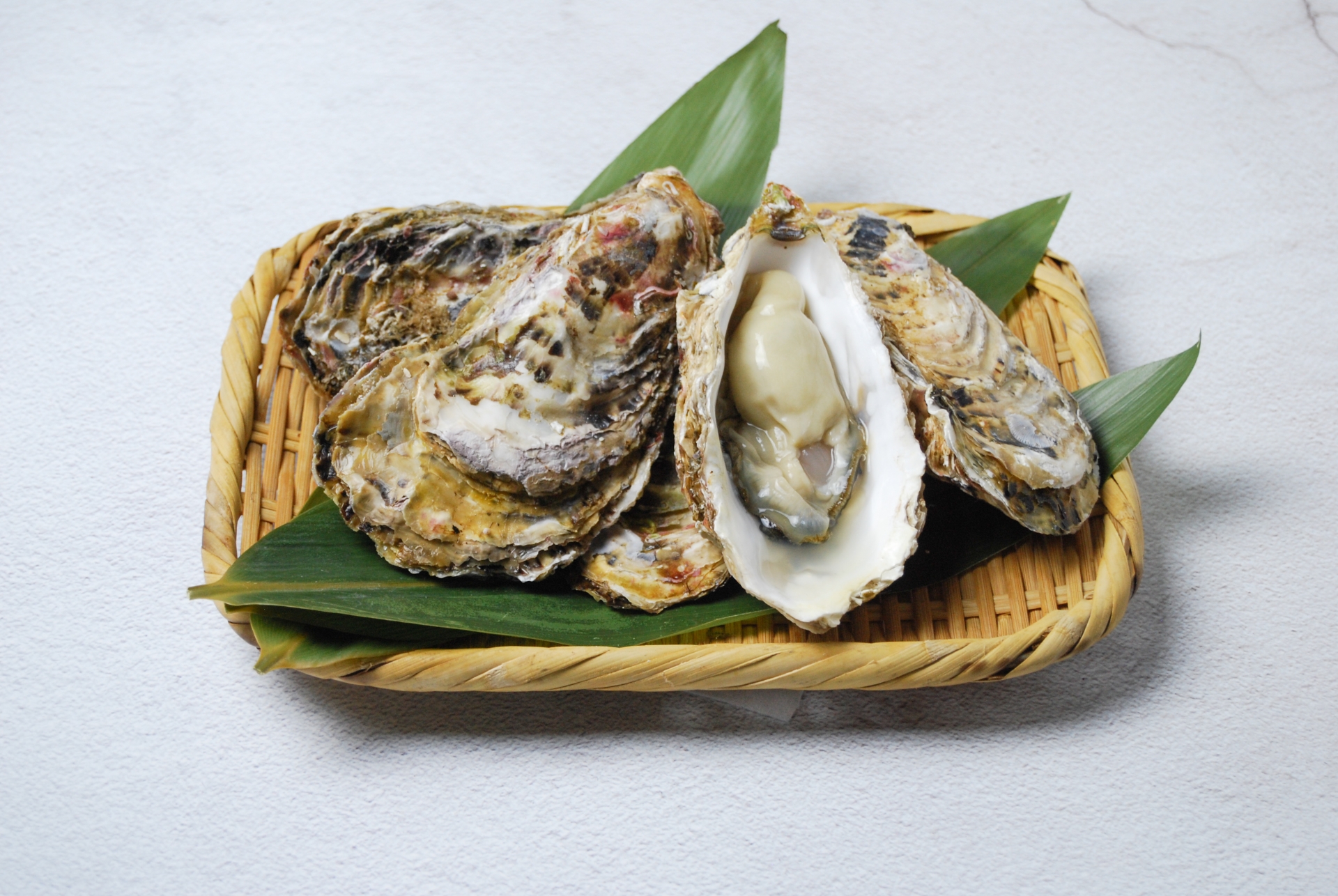 殻付き生牡蠣
