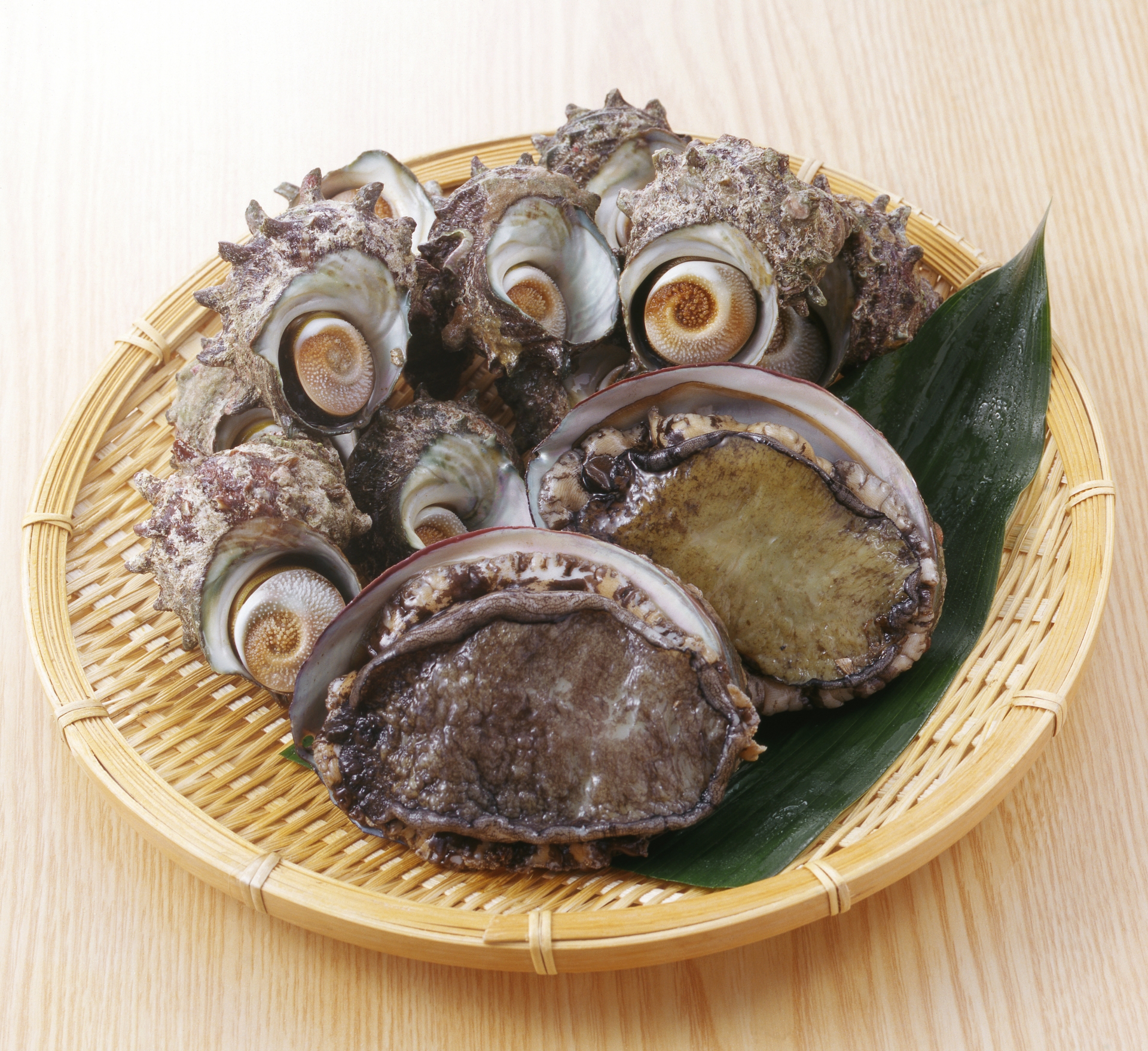 あわび・サザエ