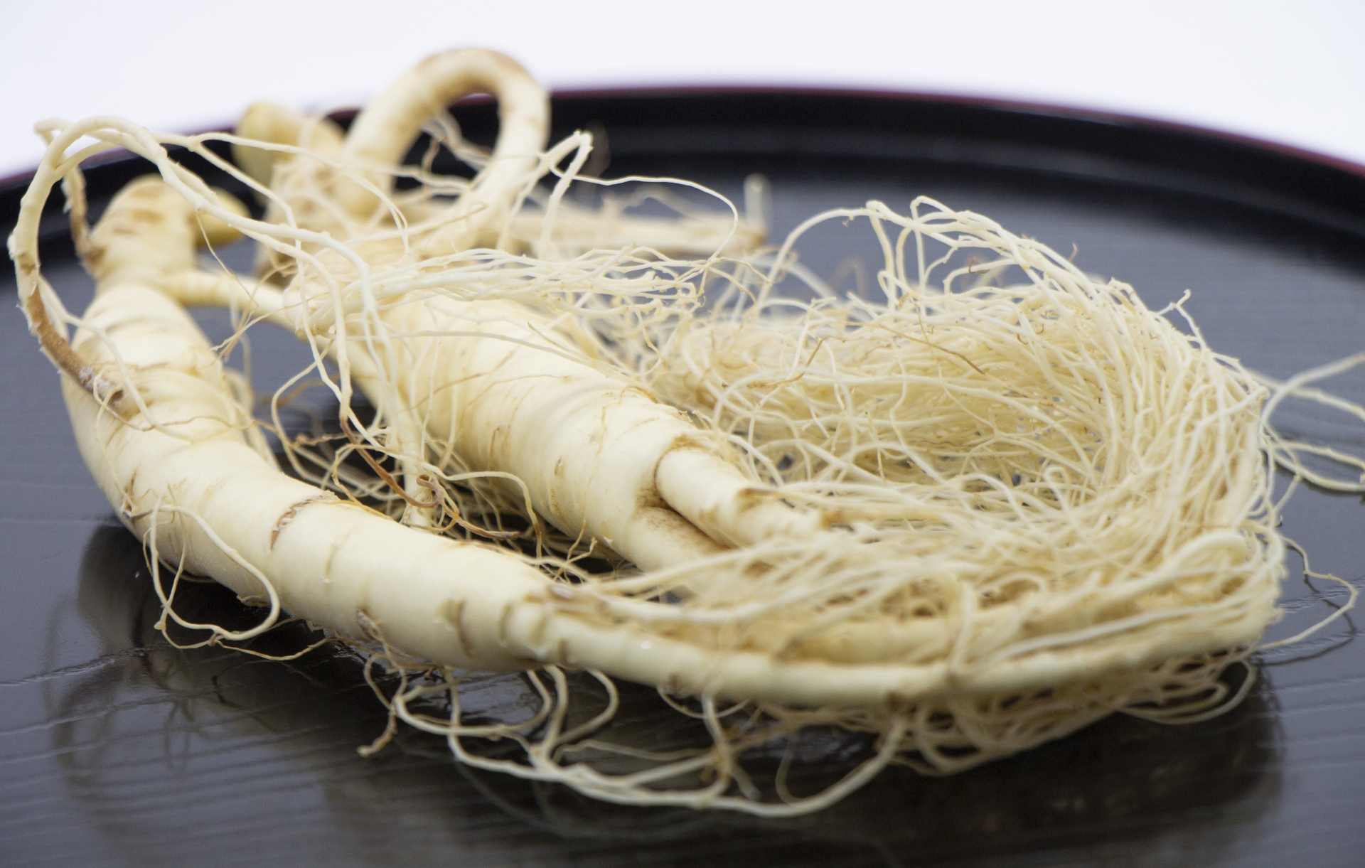 高麗人参