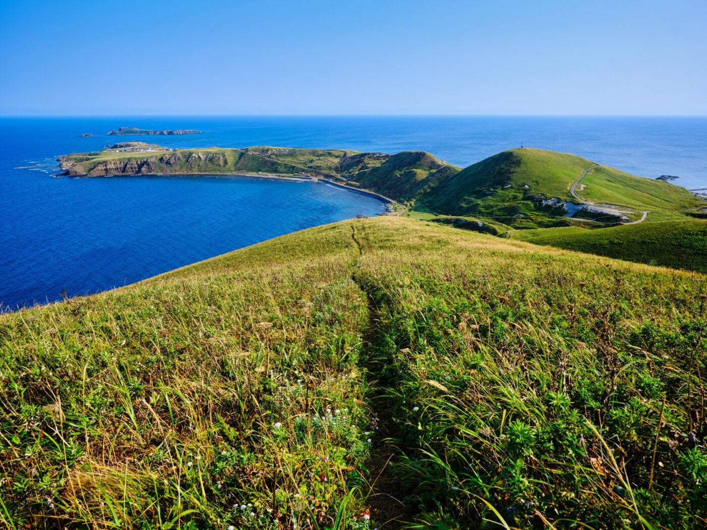 礼文島の風景