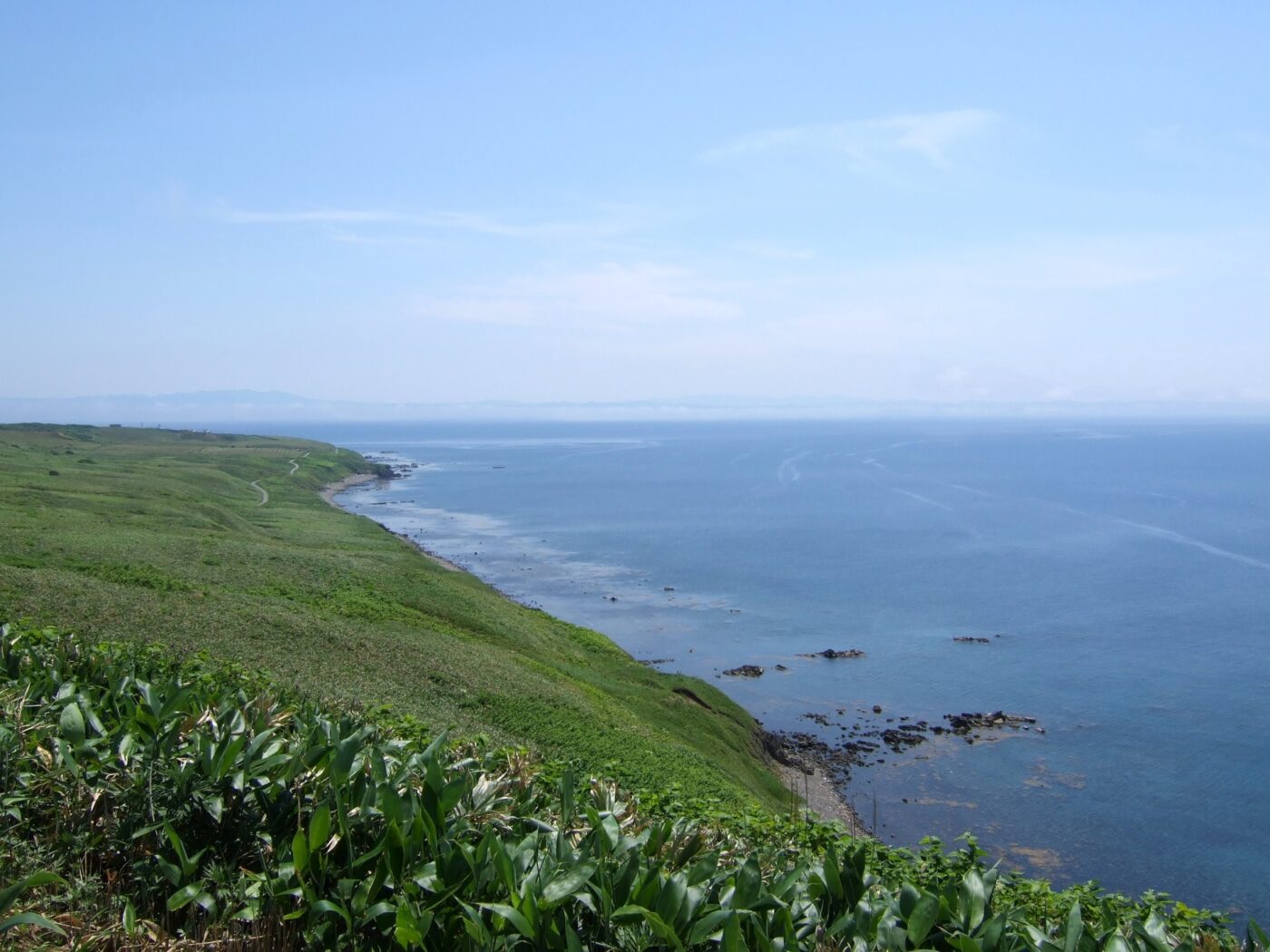 焼尻島の海