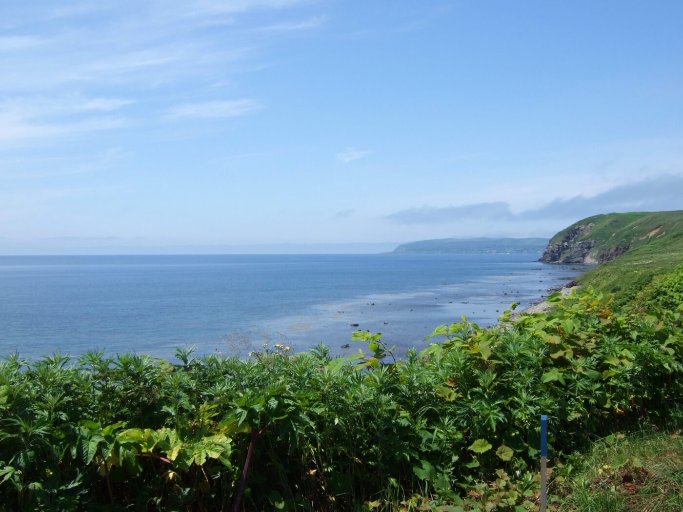 焼尻島