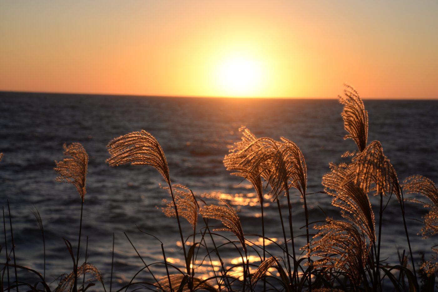 奥尻島の夕焼け