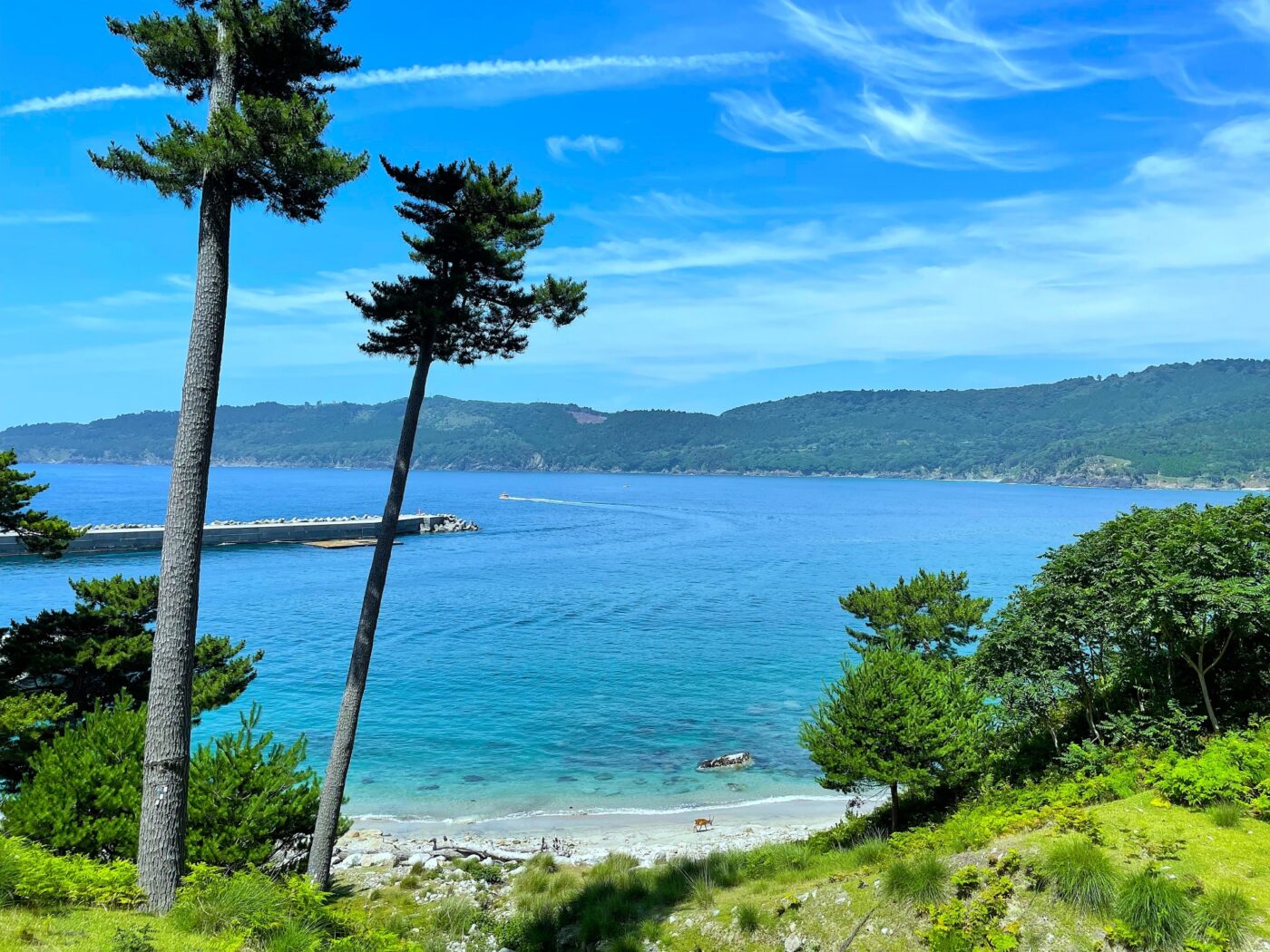 金華山から見た海