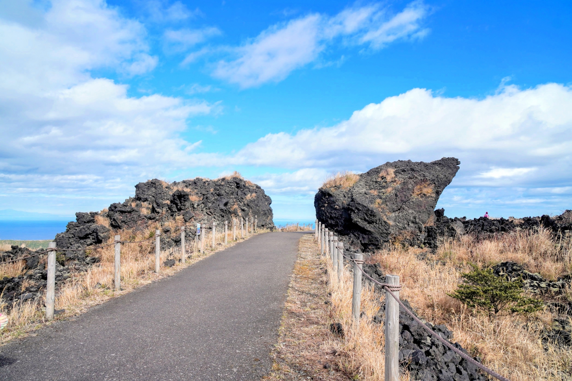 伊豆大島三原山頂の道路とゴジラ岩