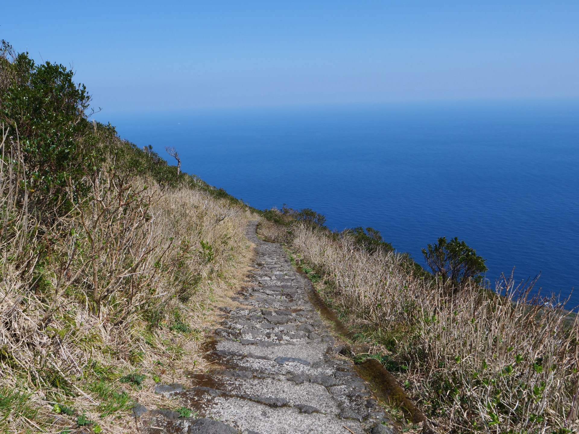 八丈富士　登山道