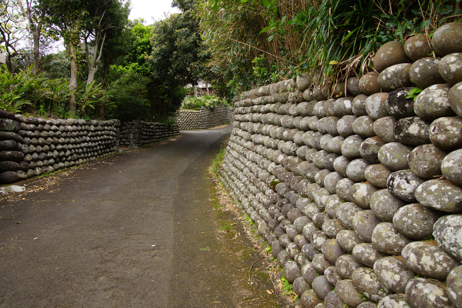八丈島大里の玉石垣が並ぶ静かな路地