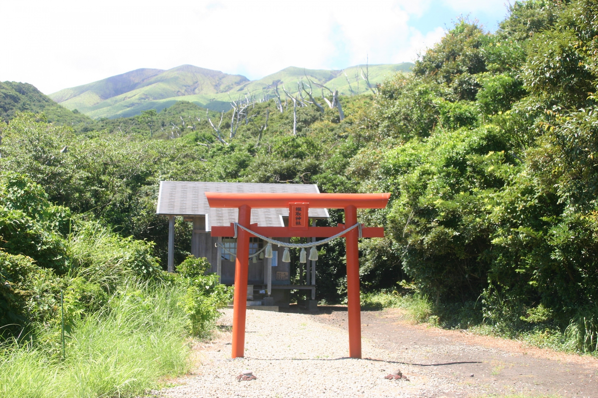 神着エリア