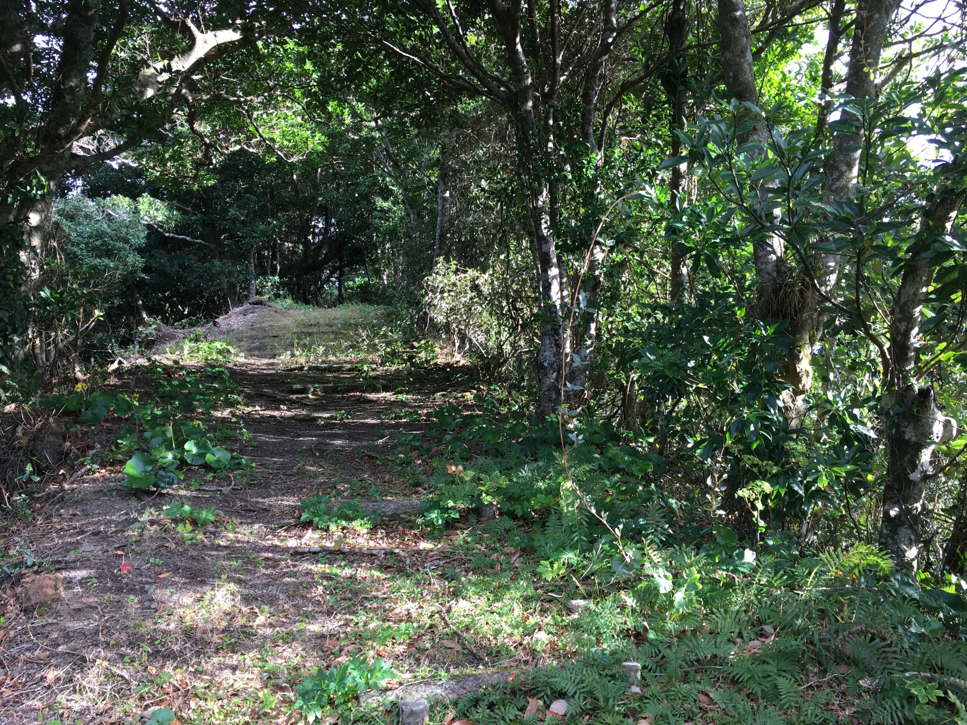 丸山遊歩道