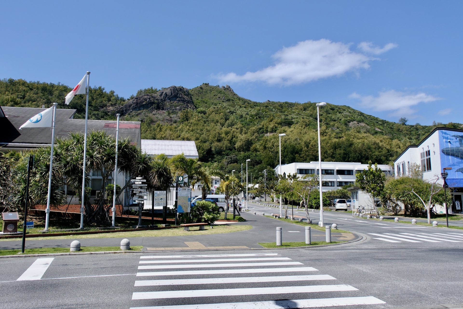 海岸通りの風景
