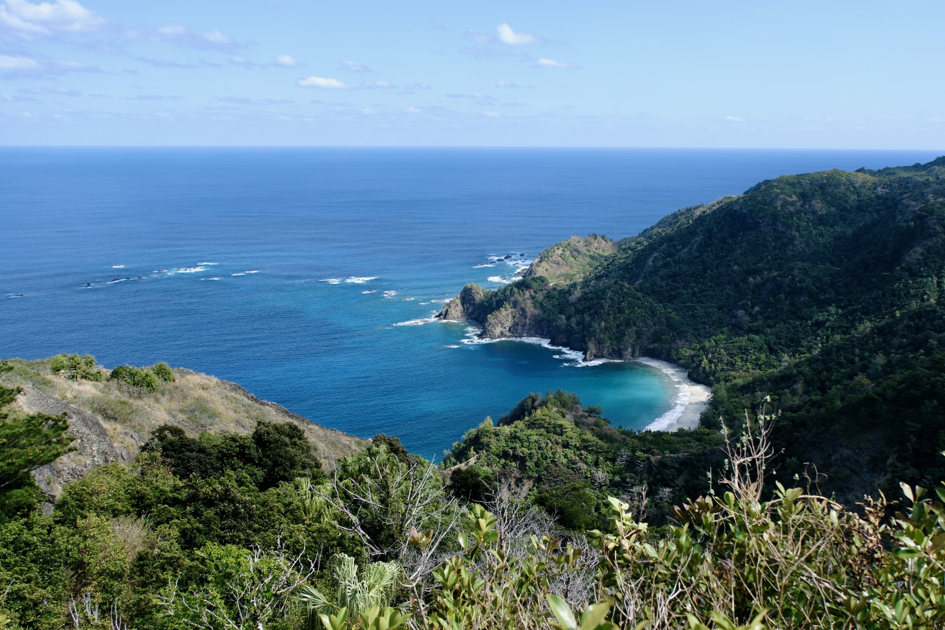 初寝浦エリア