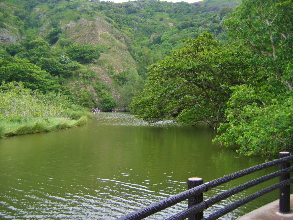 父島　八瀬川
