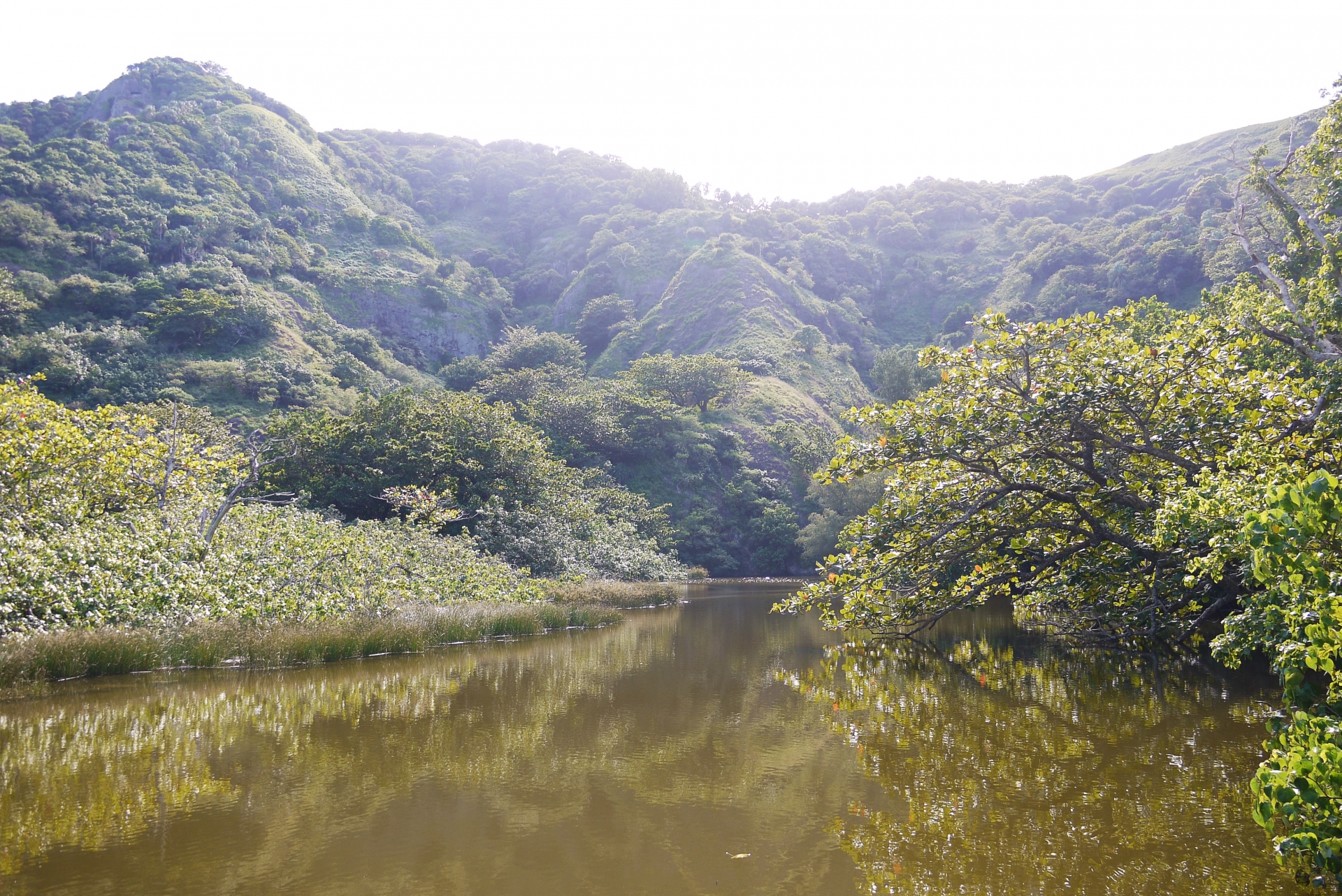八ツ瀬川の河口
